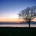 探索云顶娱乐app的独特魅力与丰富活动内容 3qmkqjls5u