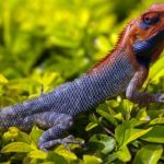 探索九五至尊4网址的游戏魅力与玩法技巧 ayz4nl