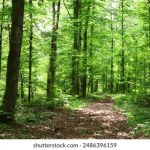 探索兴发XF187官网:全面了解产品特点与优势 bw40p2cwz