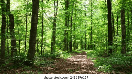 探索兴发XF187官网:全面了解产品特点与优势