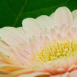 探索优发国际亚洲线上:安全可靠的游戏环境与精彩活动等你来参与 dpzo9l