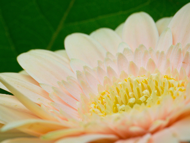 探索优发国际亚洲线上:安全可靠的游戏环境与精彩活动等你来参与