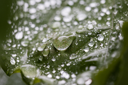 探索一定发娱乐官网的精彩游戏与丰富活动