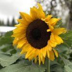 探索vinbet官网:如何选择最佳的在线博彩平台 ii026w8