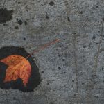 探索乐虎国际官方登录的多样化游戏选择与优惠活动 u07ypt