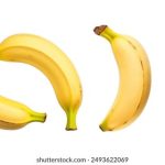 探索乐鱼体育app的独特功能与用户友好界面设计 ypfvgz