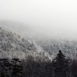 探索亚洲城客户端:畅享多元娱乐与游戏体验 yyqvmt